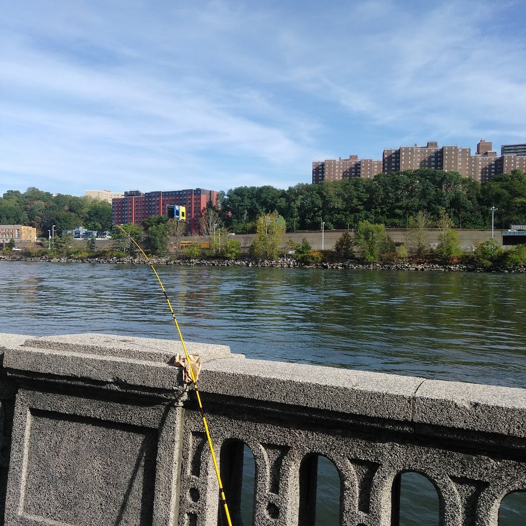 Harlem River Dr 2