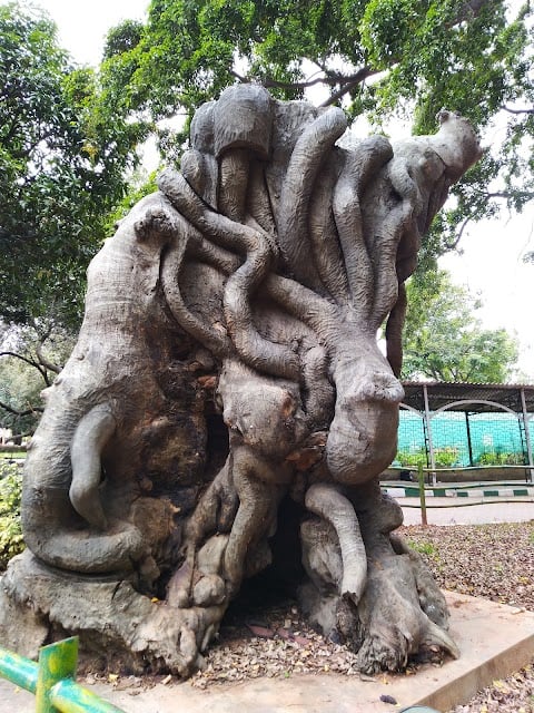Lalbagh Lake 2