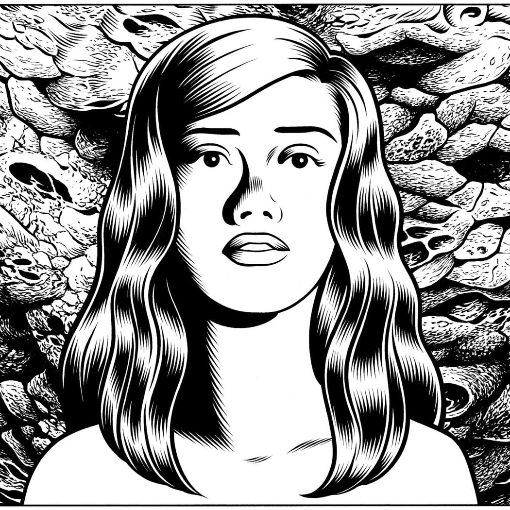 Comic Arts Fest 1