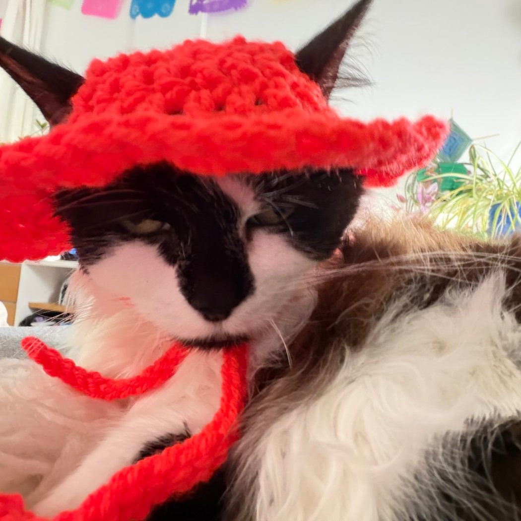 Hooked on Hats Crochet Movie Night 1