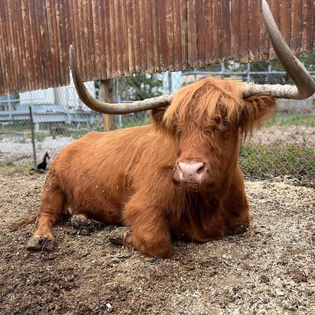 Fink's Country Farm 3