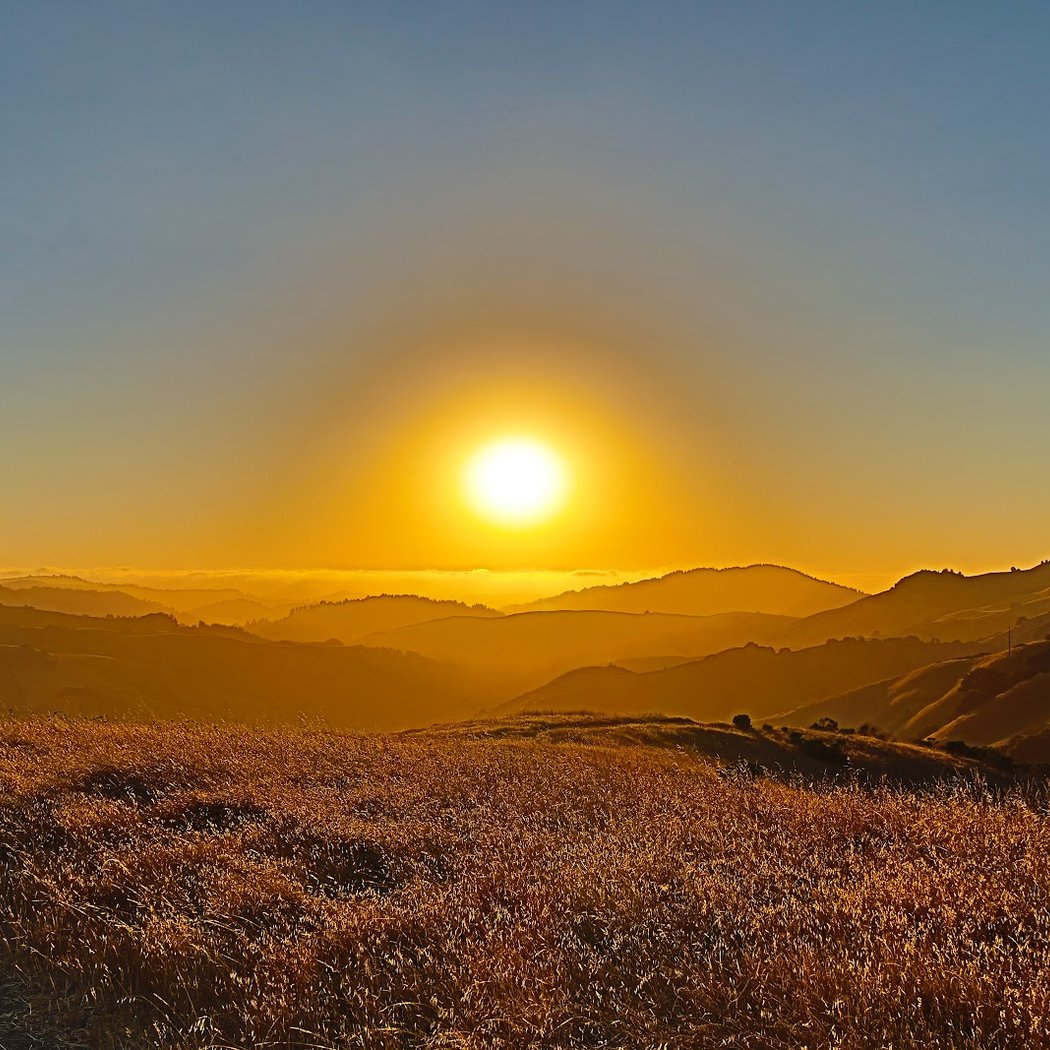 Lucas Valley Preserve 1