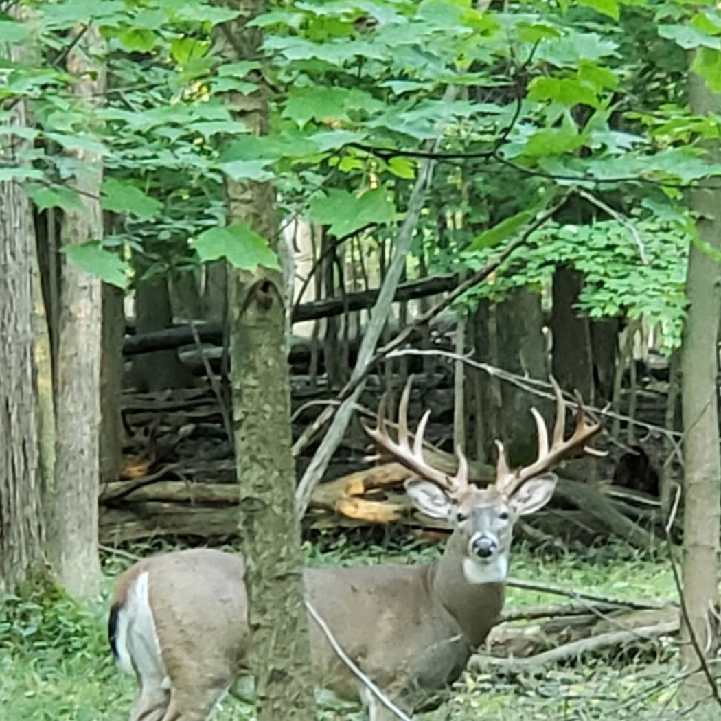 Grosse Ile Nature & Land Conservancy. John C Jackson Resource Center 2