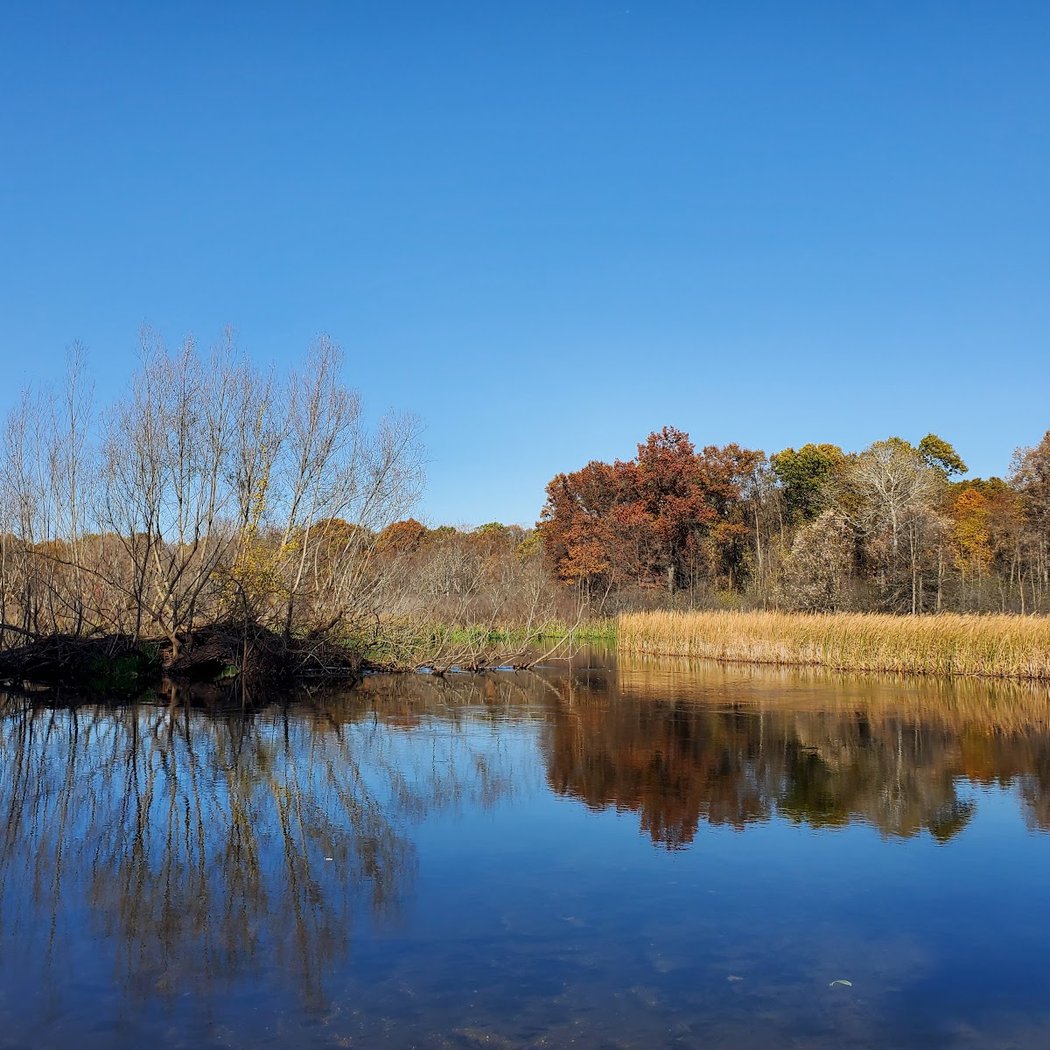 Island Lake Recreation Area 1