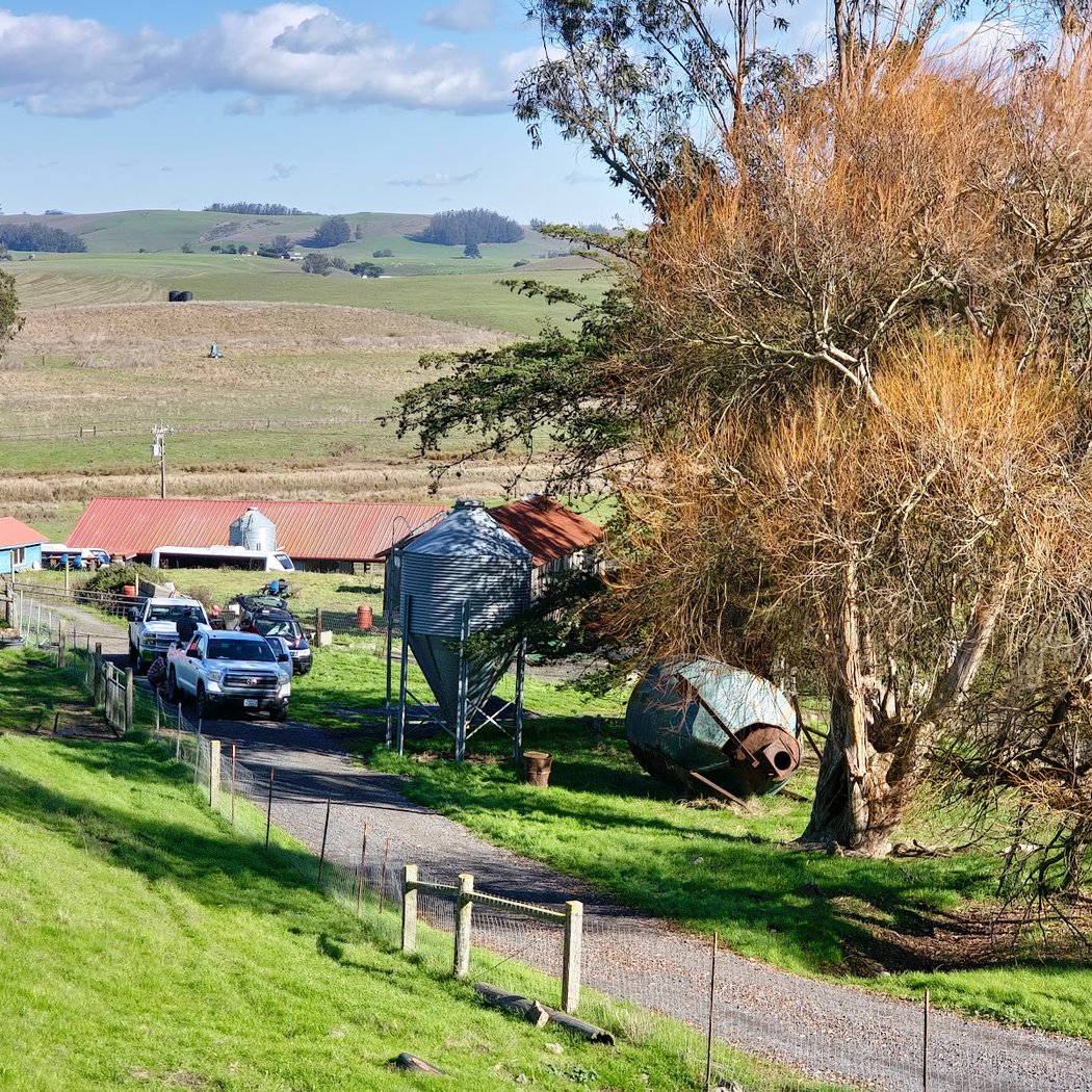 Toluma Farms & Tomales Farmstead Creamery 3