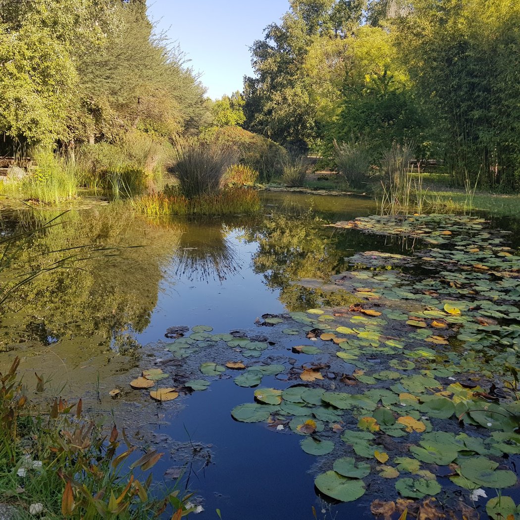 Jardín Botánico el Arboretos 1