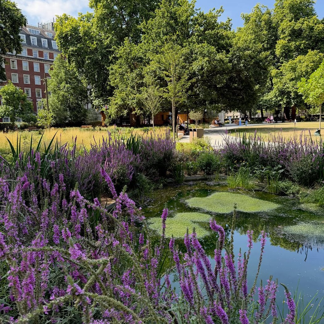 Grosvenor Square 1