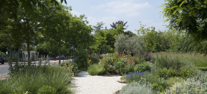 Parc Carrey de Bellemare 2
