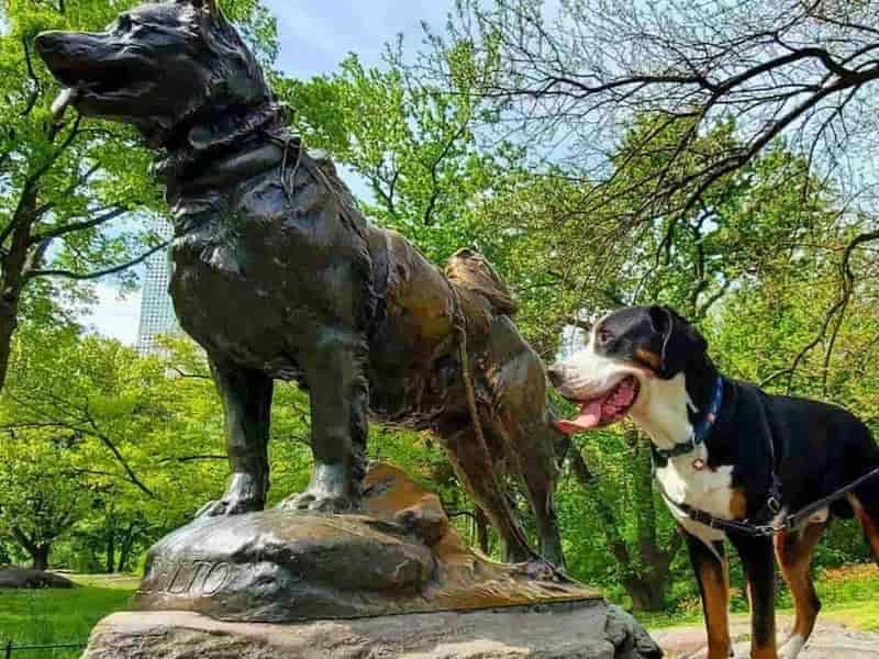 Balto Statue 2