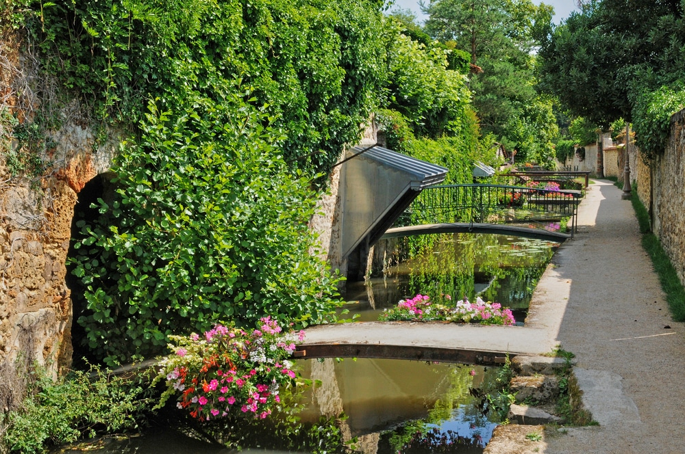 Chevreuse 4
