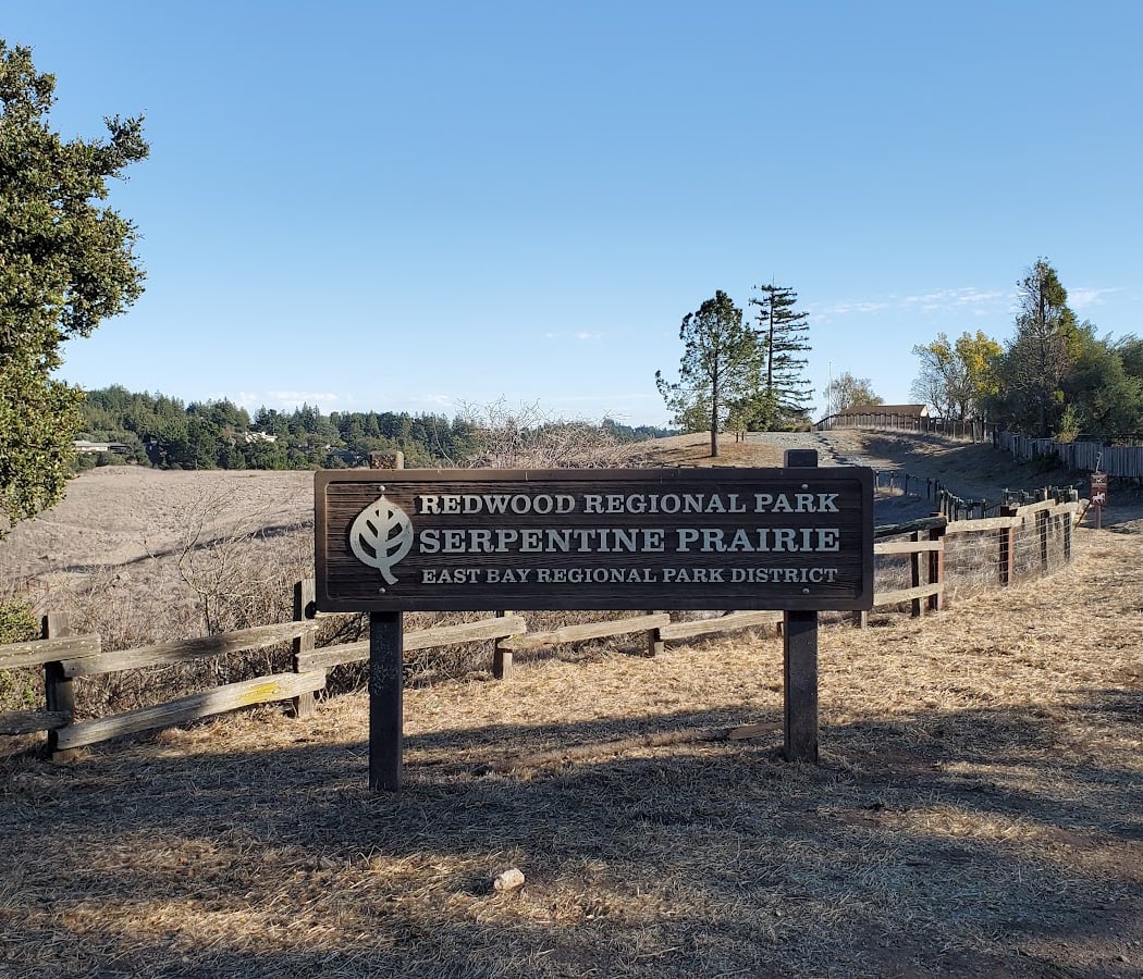 Guided Group Hike with East Bay Regional Park District 2
