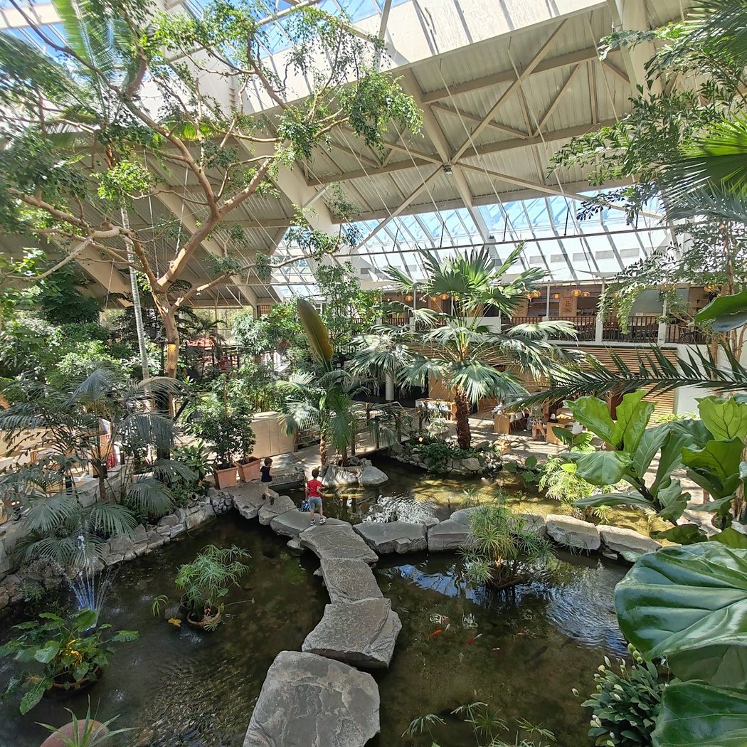 Parc aquatique Aqua Mundo Center Parcs Les Hauts de Bruyères 3