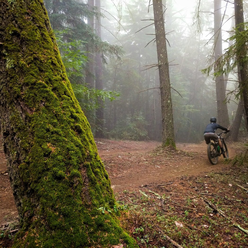 Soquel Demonstration State Forest 1