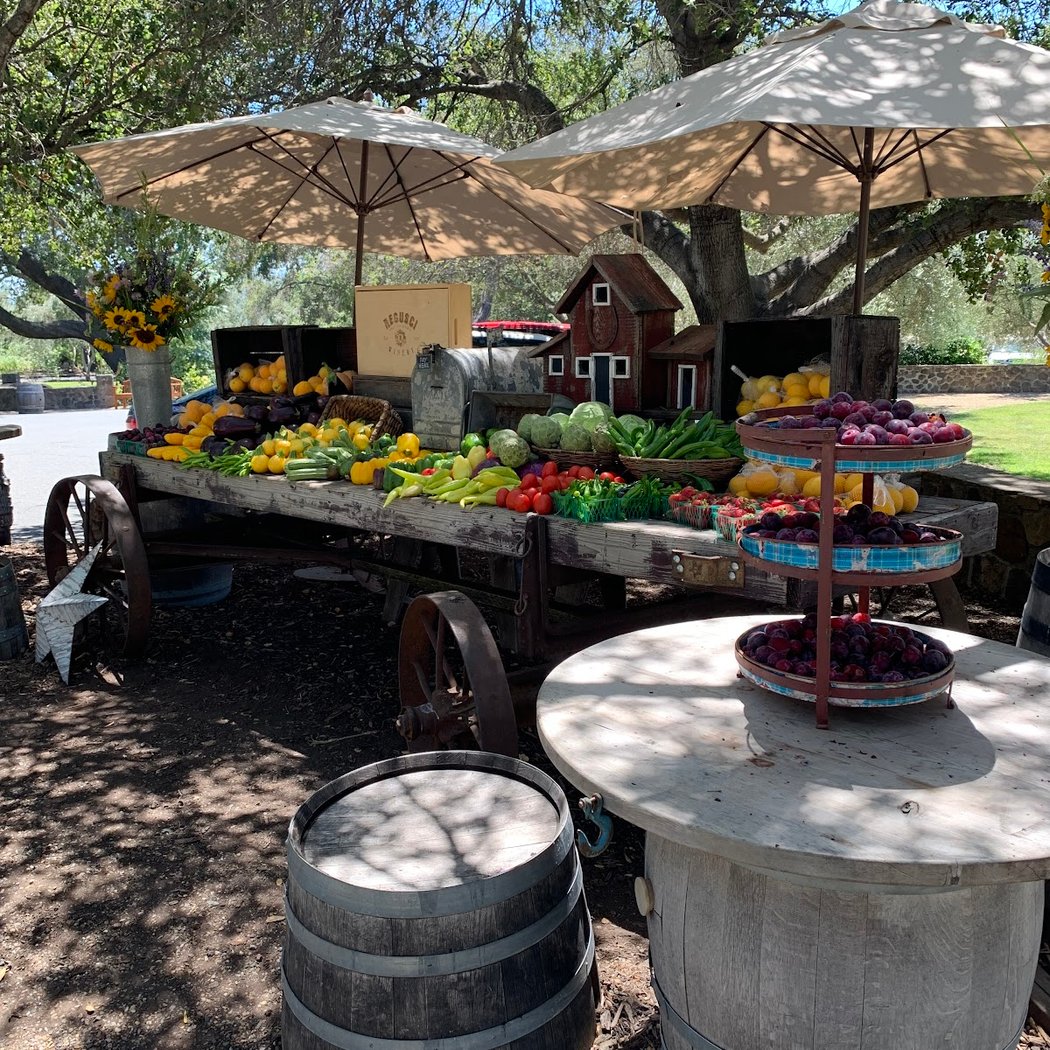 Regusci Winery 3