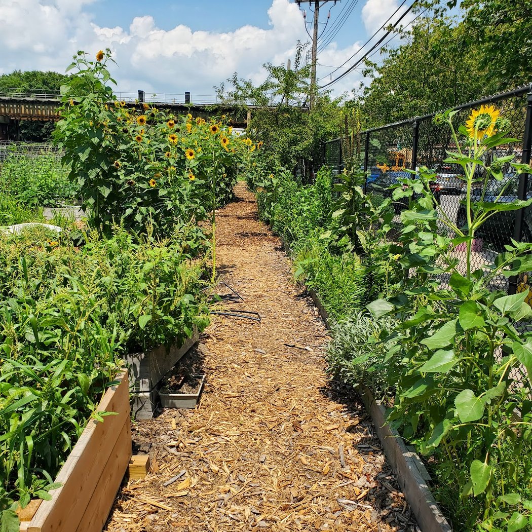 ENY Youth Farm 1