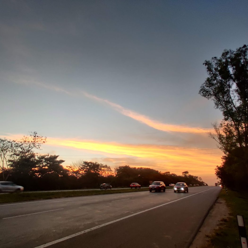 Freedom Bengaluru Half Marathon 2026 2