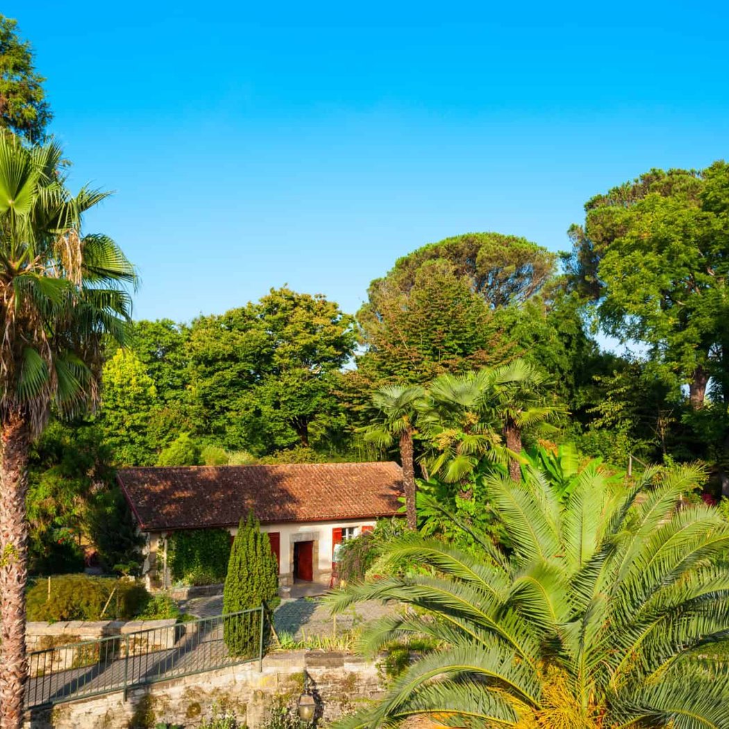 Bayonne Botanical Garden 2