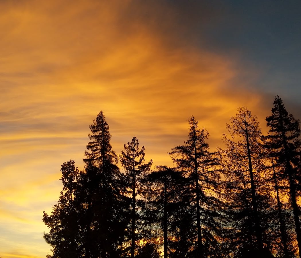 Marijane Hamann Park 1