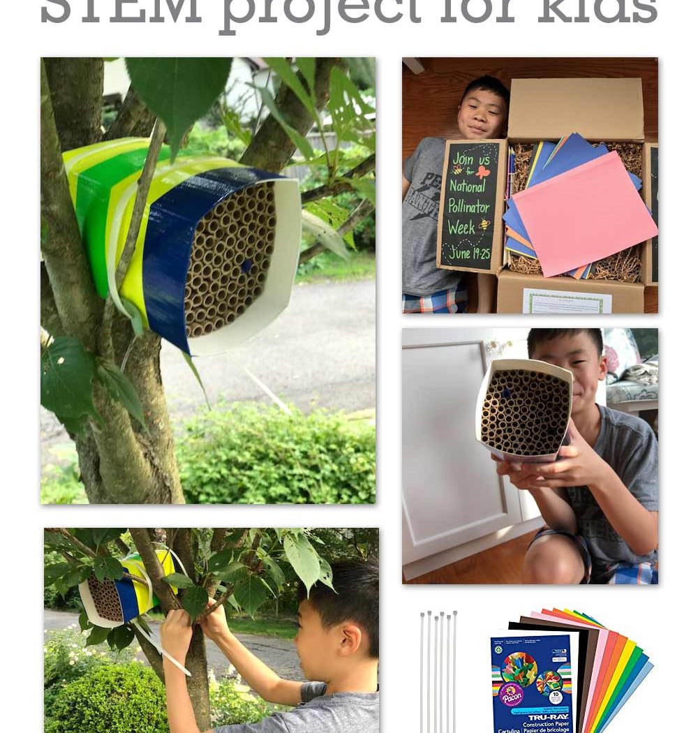 Build A Beehouse 1