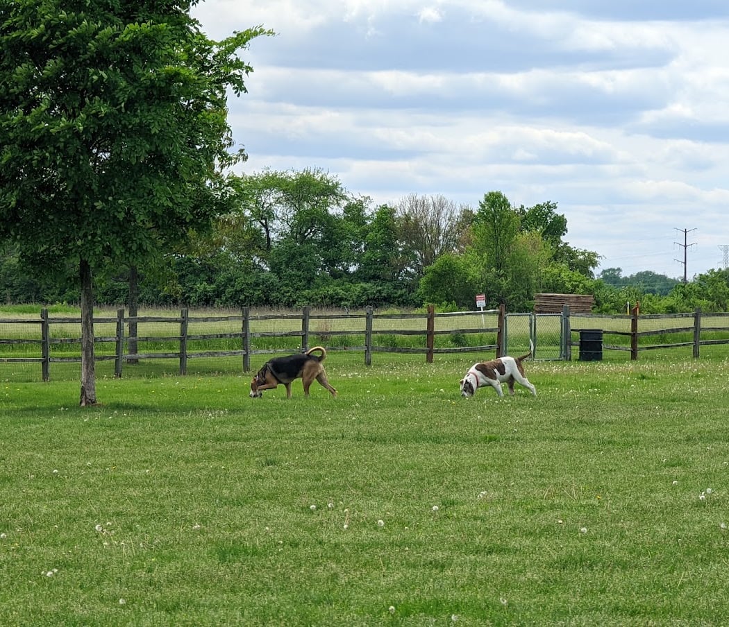 Clow Stephens Park 2