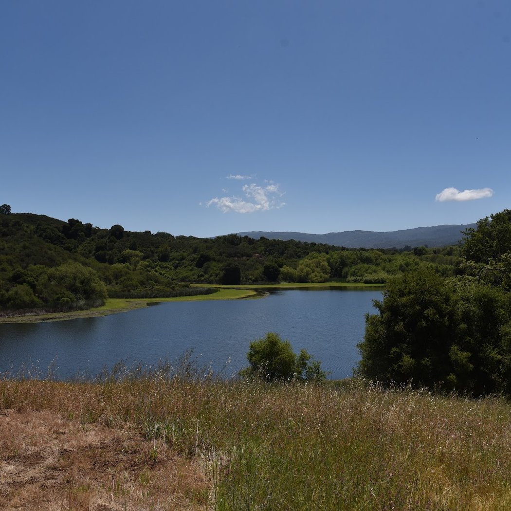 Jasper Ridge Biological Preserve 2