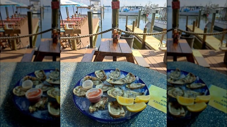 Star Fish Company 1