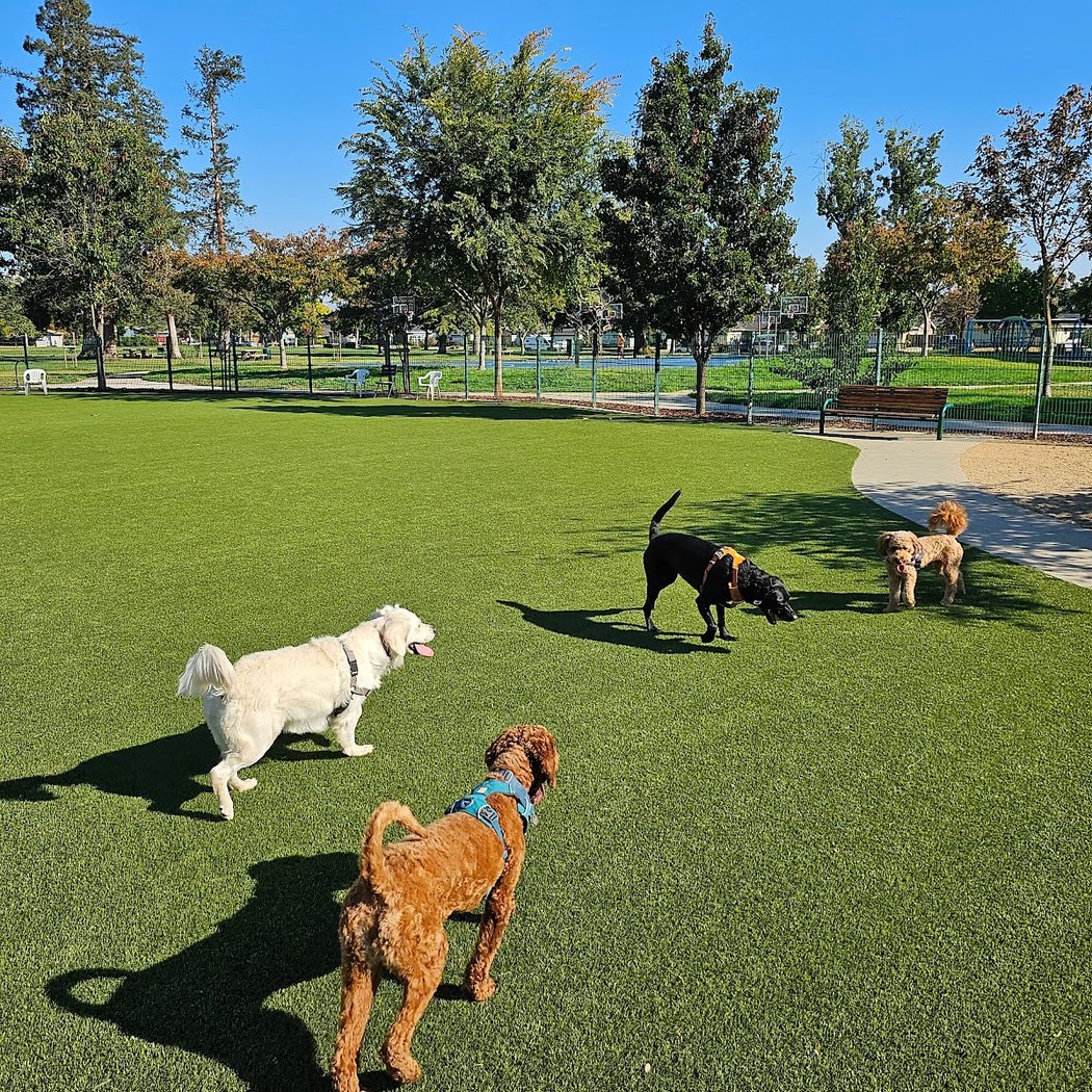 Butcher Dog Park 1