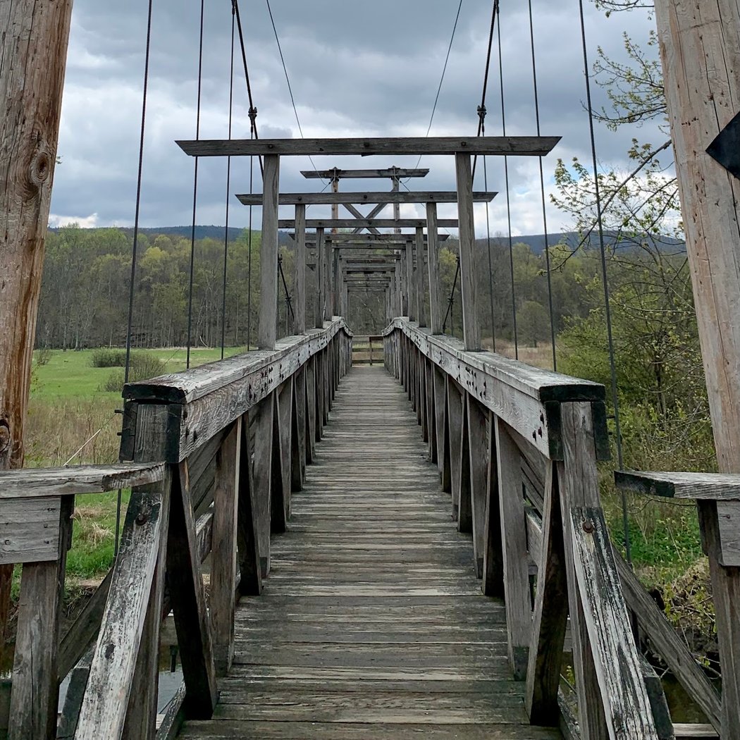Appalachian Trail Boardwalk 3