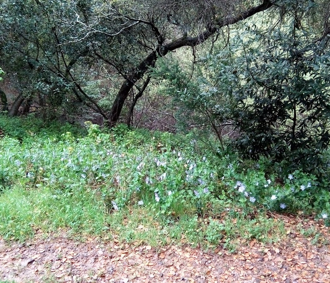 Montclair Railroad Trail 2