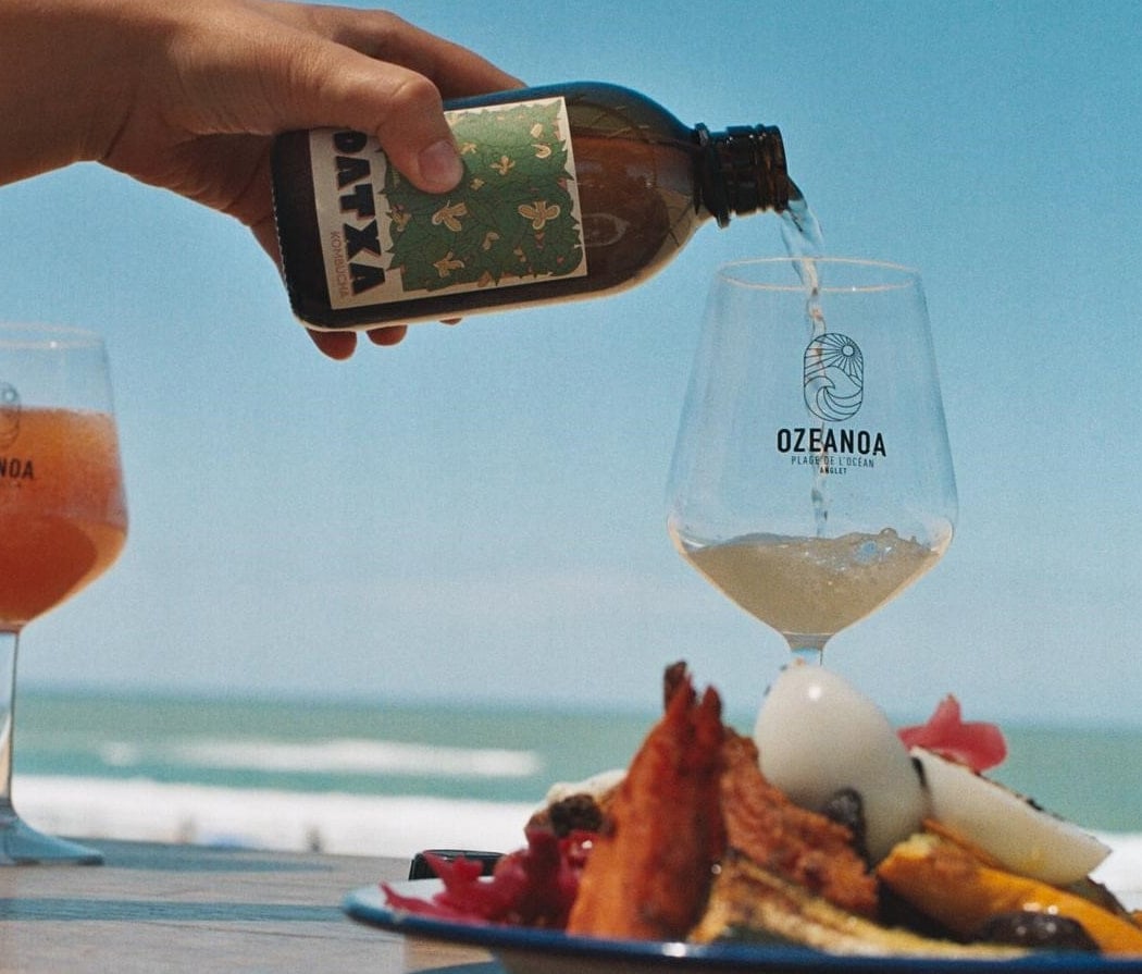 Datxa Kombucha 1