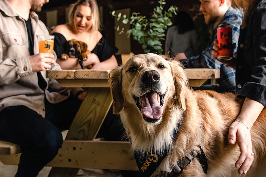 Back to School Yappy Hour 3