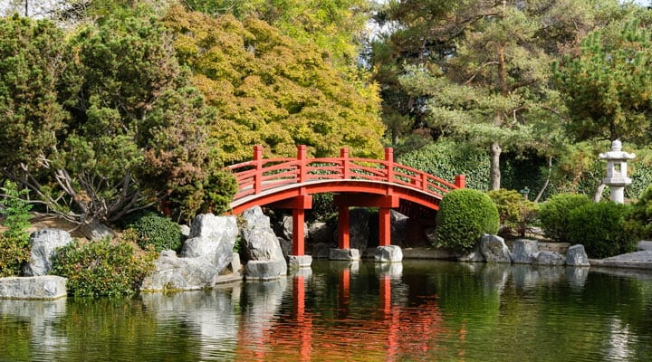 Kelley Park 1