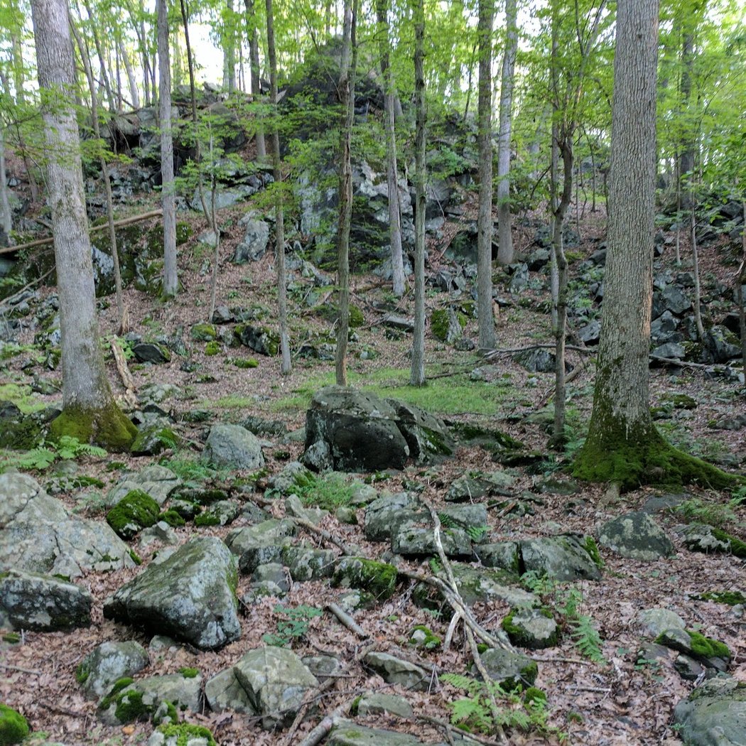 Blue Mountain Reservation 2