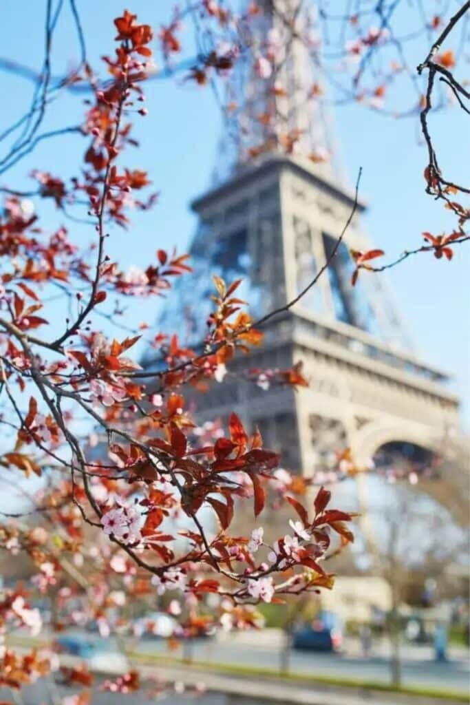Jardins du Trocadéro 1