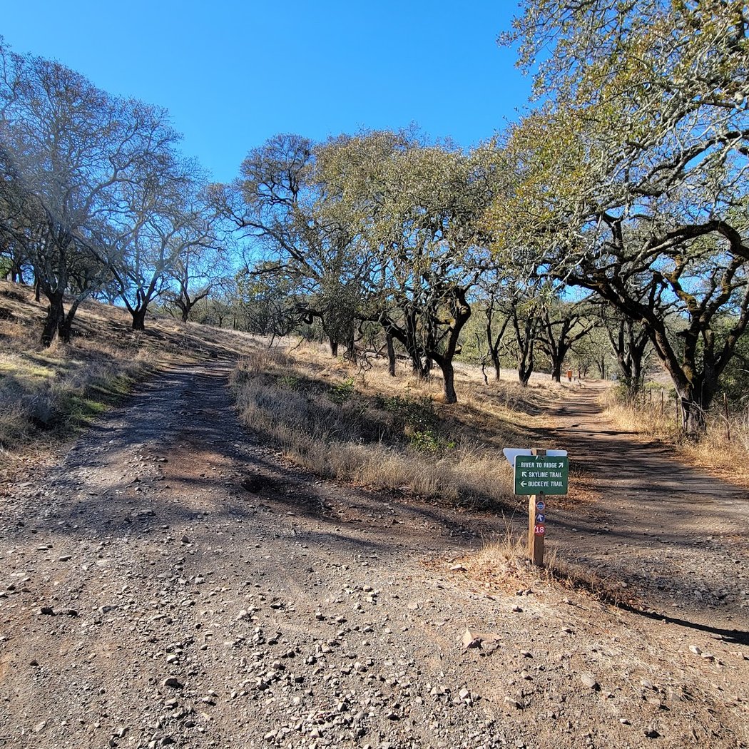 Skyline Wilderness Park 3
