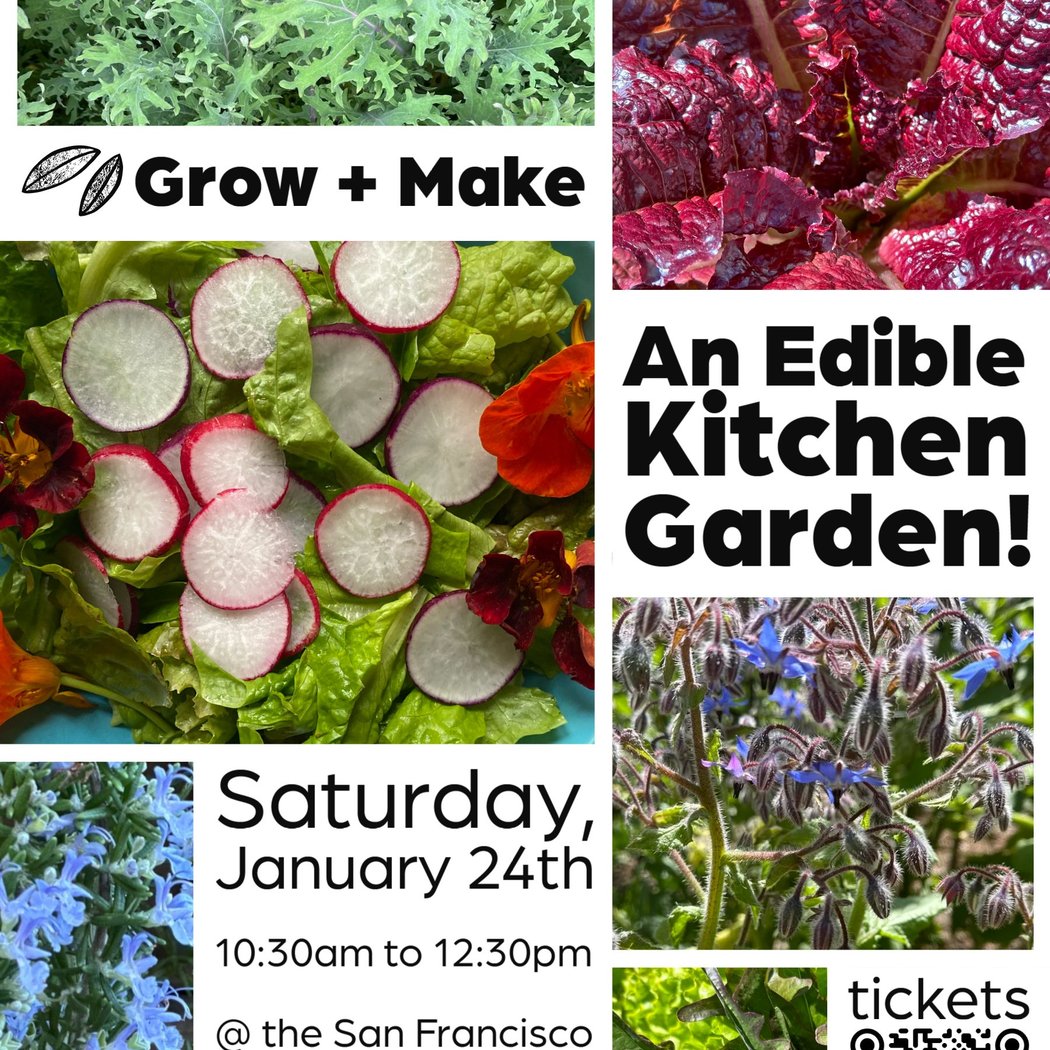 GROW + MAKE: AN EDIBLE KITCHEN GARDEN! 1
