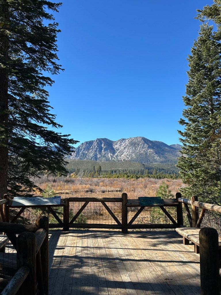 Taylor Creek Visitor Center 2