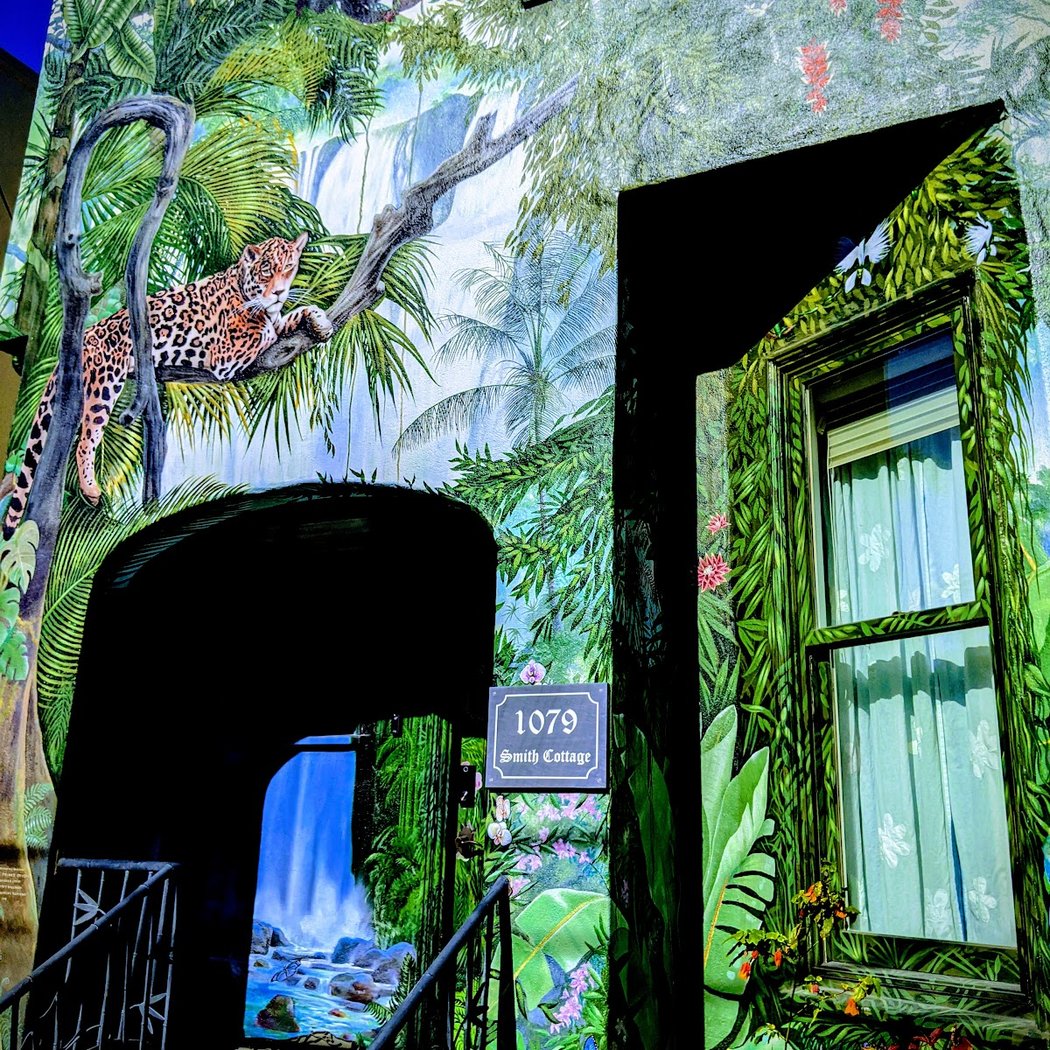 The Jungle House 1