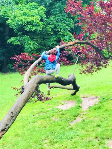 Découverte Nature en famille avec enfants de 2 à 10 ans 2