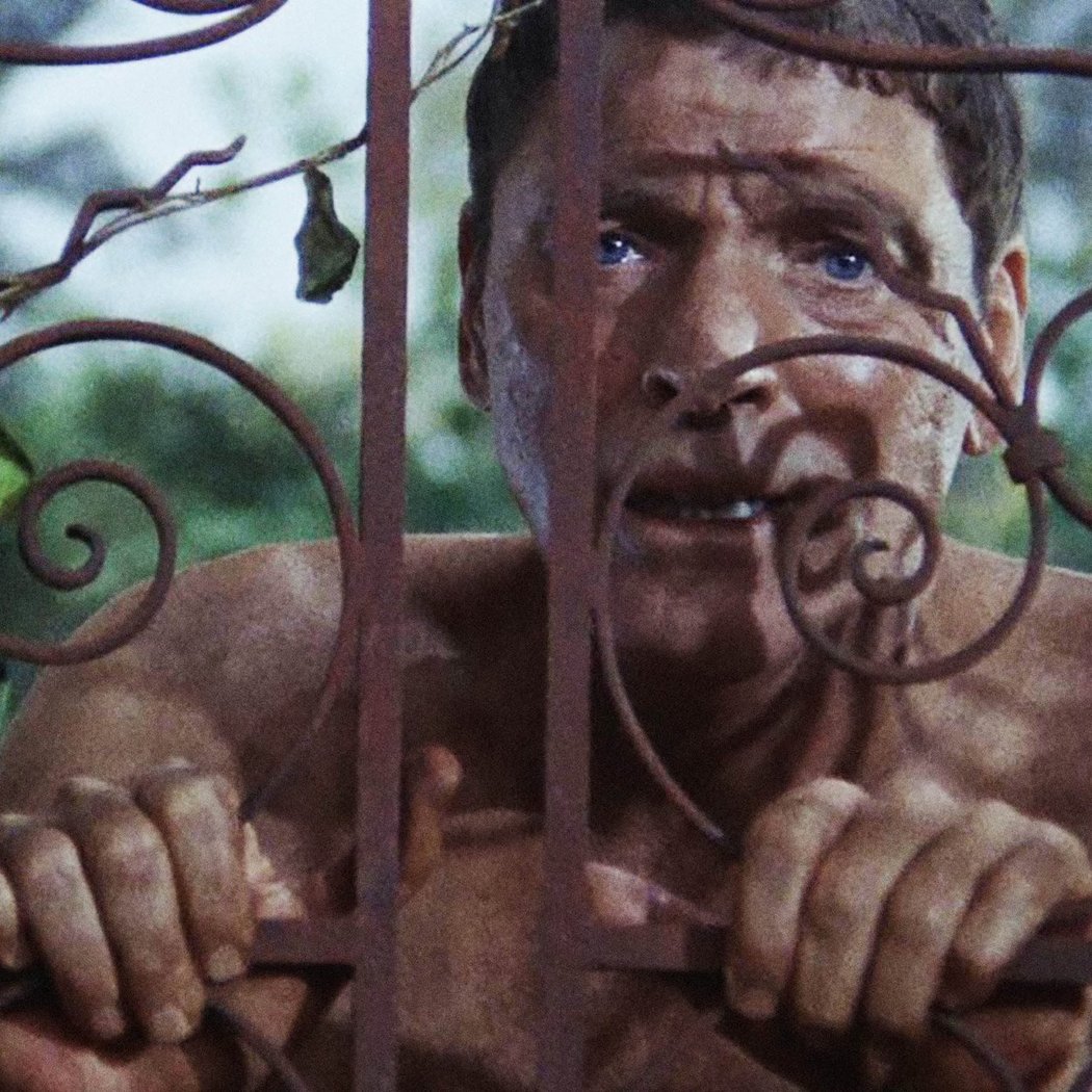 Lenfest Film Faculty Spotlight: Andy Bienen Presents 'The Swimmer' 1