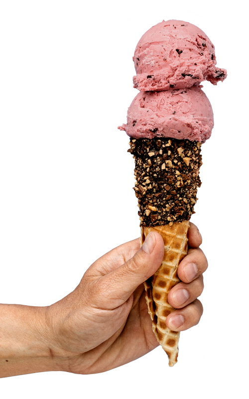 Sebastian Joe's Ice Cream Cafe