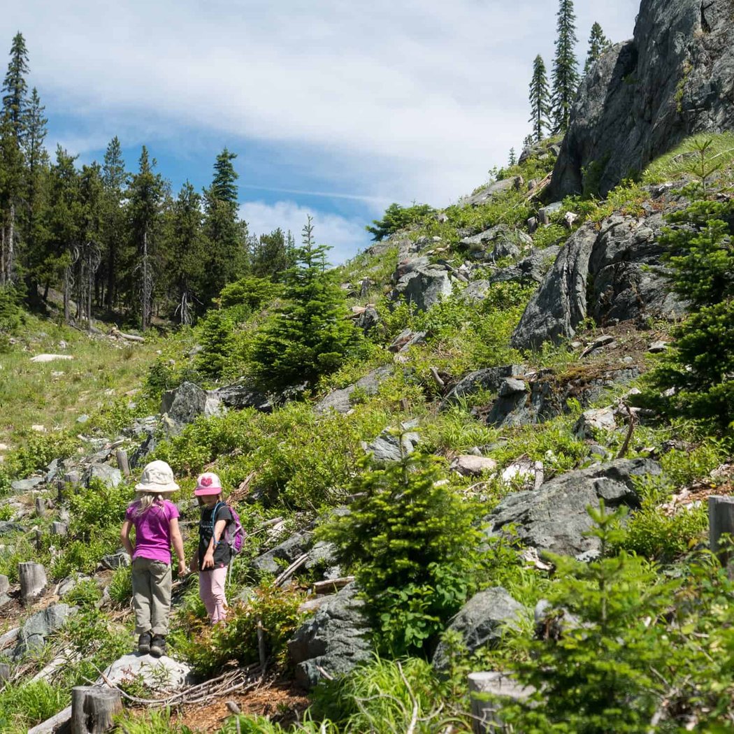 Guided Wildflower Hike - Baldy Mountain Meadows 3