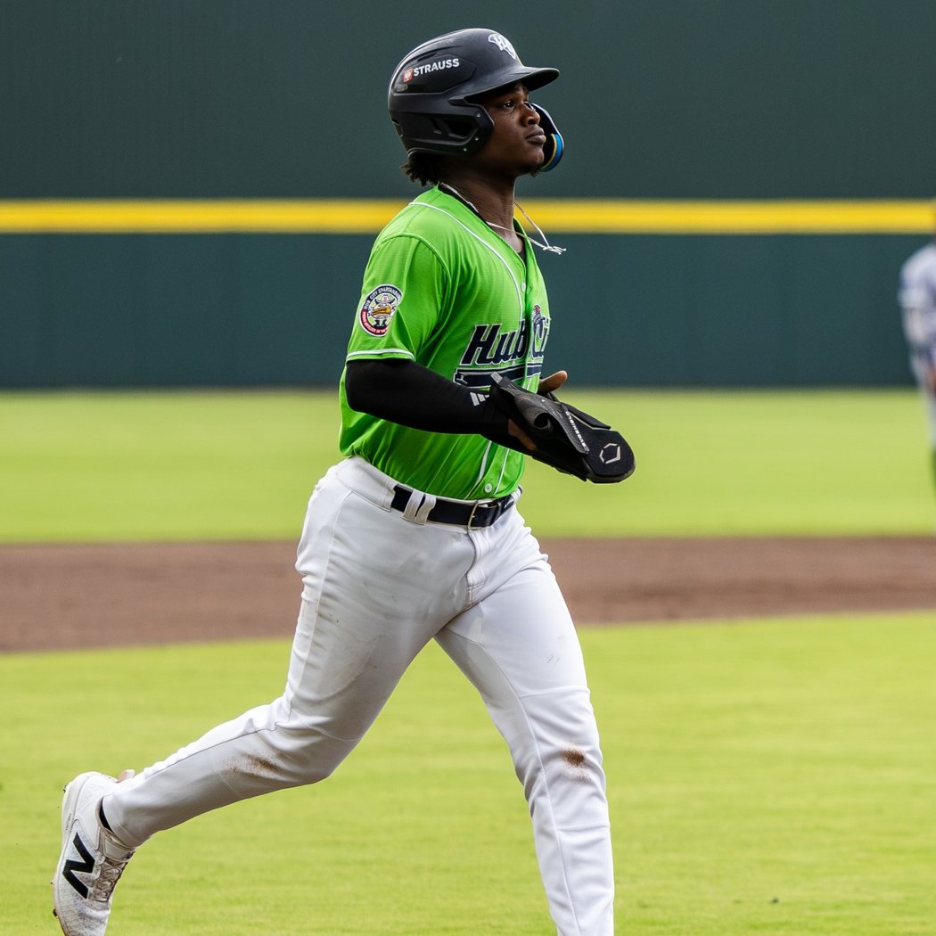 Greenville Drive vs. Hub City Spartanburgers 1
