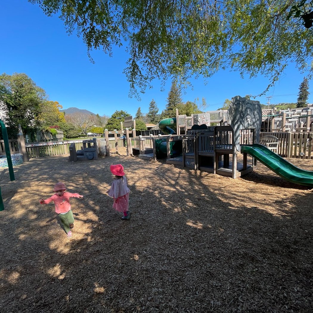 Sycamore Park 1