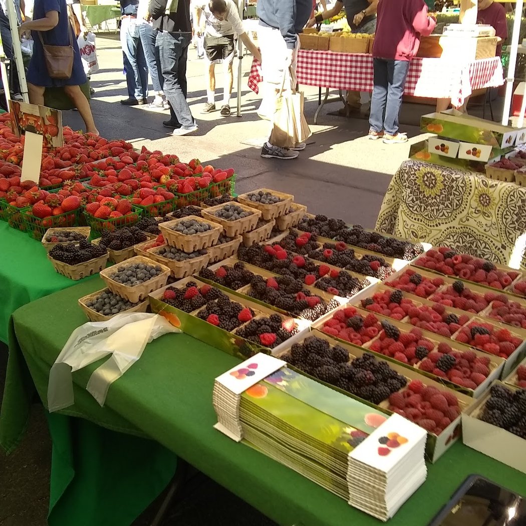 Family Harvest Festival 4