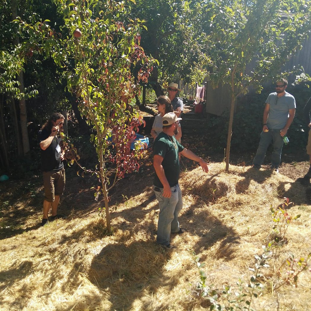 Permaculture Skills Center 1