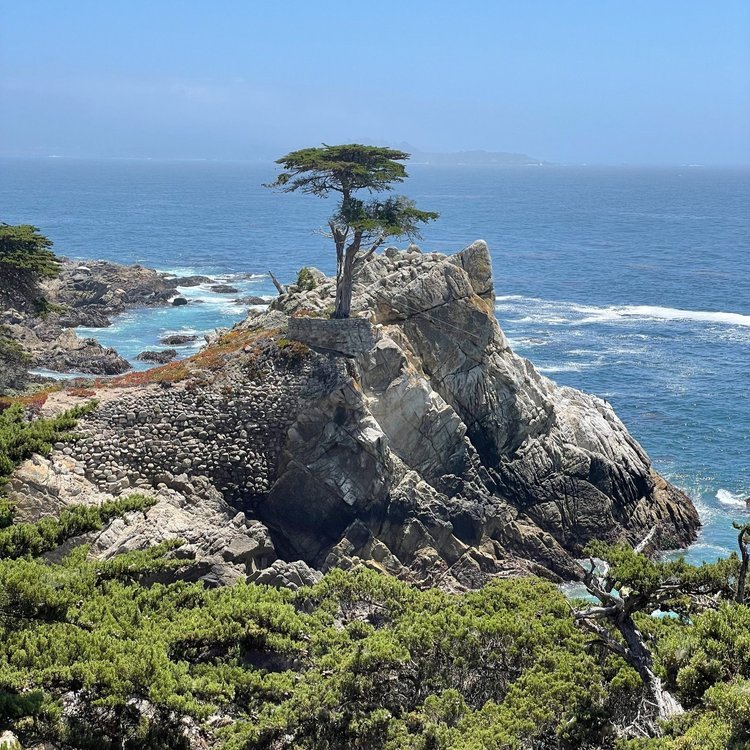 17 Mile Drive 2