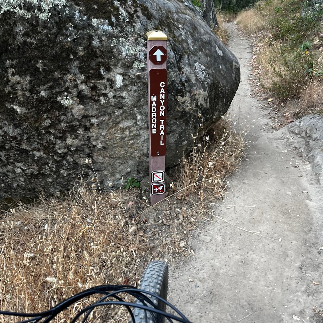 Madrone Canyon Trail 1