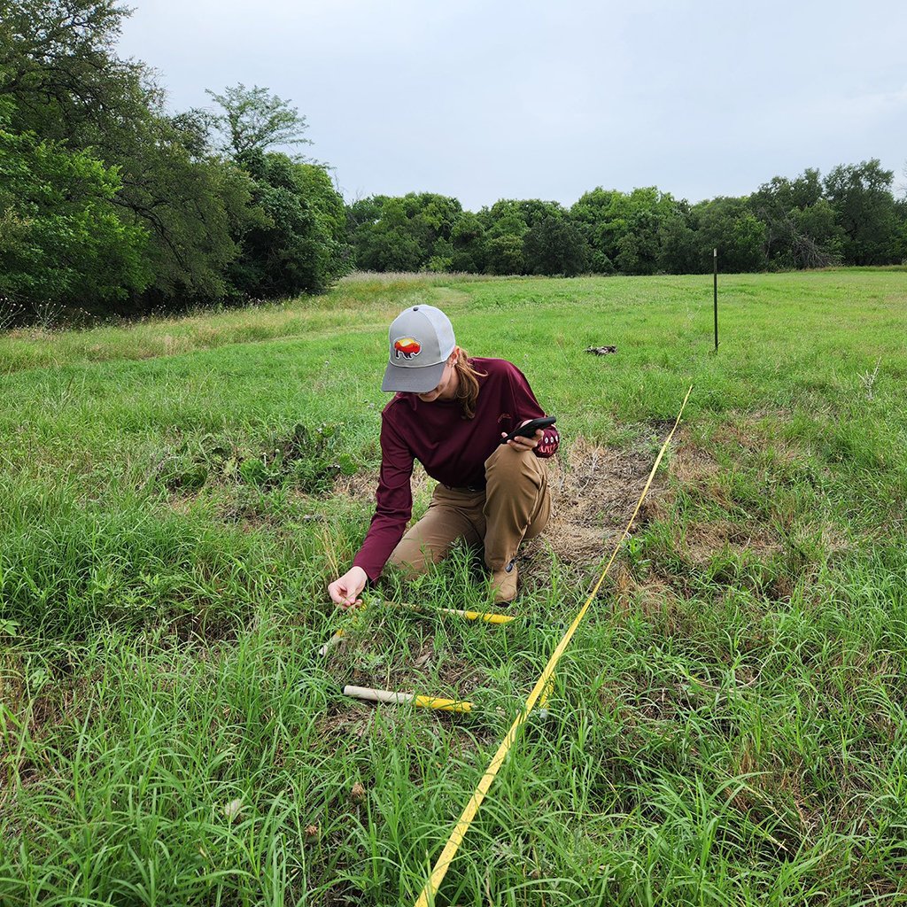 Greenhouse Habitat Restoration Volunteering 2