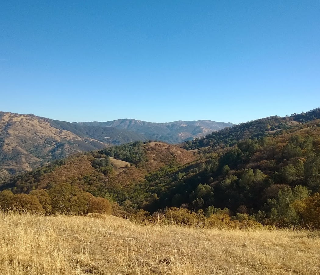 Ohlone Regional Wilderness 2
